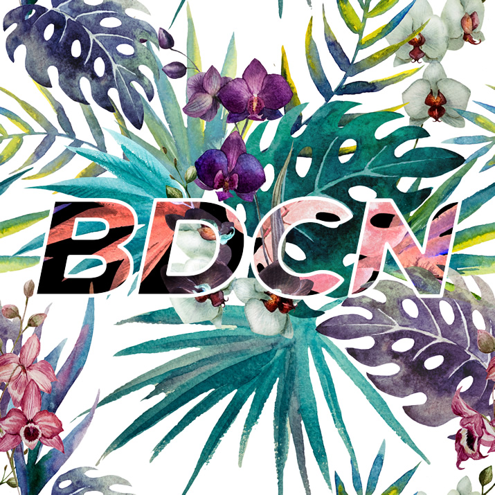 BDCN Creative